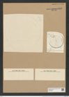 Coscinodiscus lindovicianus Rattr. (de-Toni-Nr.: Genus 202, Species 5140) Zeichnungen Sammlung Grunow Nr. 8893 (NHMW-BOT-W0378545)